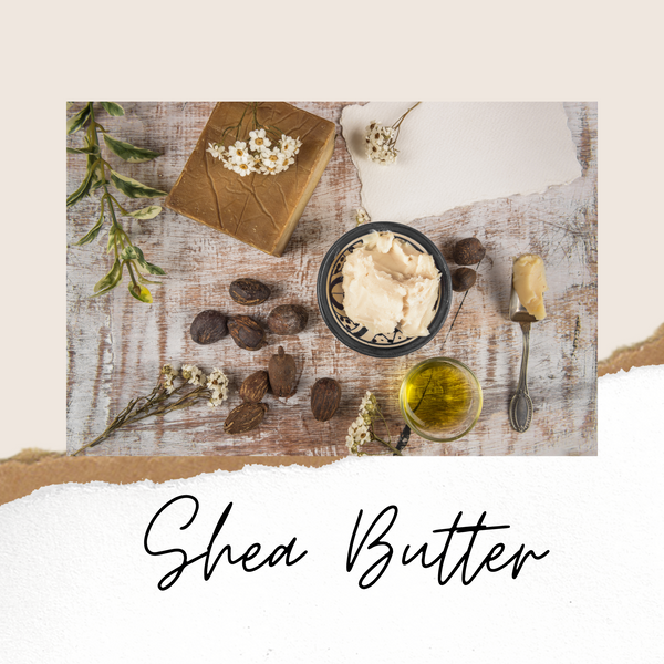 Ingredient Highlight - Shea Butter
